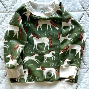 Winter water factory horse sweatshirt